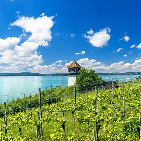 Sommerliebe Mit Panoramaterrasse Und Seeblick Appartement